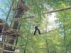 Escalada in copaci, cea mai provocatoare atractie, dar si cea mai periculoasa.