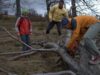 furtuna Sute de hectare de padure culcate la pamant de vant