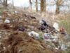 Munti de gunoaie, hoituri de animale si taieri ilegale de arbori