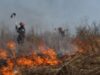 Incendiu de proportii in Parcul Natural Balta Mica a Brailei