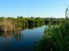 Silvian Ionescu: Lacul Vacaresti este un fel de minidelta in centrul Capitalei