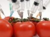 Romania va semna un protocol privind organismele modificate genetic