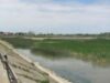 pasari, pesti Lacul Bacau va fi golit de apa