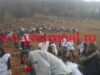 Record verde la Crasna, locul inradacinarii a 20.000 de arbori