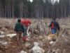 plantari Uricani: Tinerii voluntari au plantat ce au despadurit altii