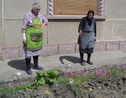 Crima ecologica la Ghiroda