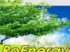 Targ International de Energii Regenerabile si Eficienta Energetica in Constructii