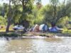 Noua Lege a Rezervaţiei Delta Dunării a fost promulgată. Guvernatorul s-a pricopsit cu multă, multă putere