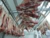carne Carnea crescut? în laborator ar putea reduce emisiile de gaz cu efect de ser?