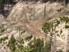 defrisari Acţiune pentru prevenirea şi combaterea tăierilor ilegale de arbori pe raza judeţelor Suceava şi Neamţ