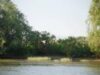 delta dunarii Noua lege a Deltei facilitează şi procesul de reconstrucţie ecologică a amenajărilor agricole şi piscicole