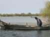 dunare Delta Dun?rii, ce-a fost ?i ce-a ajuns