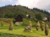 Idei de afaceri: Cum dezvolti afaceri prospere din ecoturism