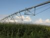 Compania "Farmers Ethanol"investeste in Romania in producerea de combustibil bio