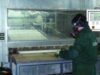 greenlamp Fabrica unicat de reciclare a echipamentelor de iluminat isi începe astazi producţia