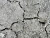 maramures Schimbarile climatice isi fac simtita prezenta in Maramures