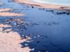 La 21 de ani de la dezastrul ecologic provocat de Exxon Valdez, Alaska înc? î?i panseaz? r?nile