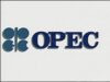OPEC vrea sa mareasca productia de petrol
