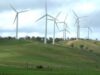 Producătorii din eolian: "Vom mai instala 300 MW, până la finele anului"