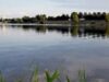 Pata de petrol pe Dunare în amonte de barajul Por?ile de Fier I