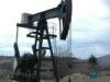 Compania Petrom, acuzata ca a poluat apa dintr-o localitate din Timis
