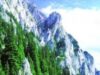 piatra craiului Plan pentru Parcul Piatra Craiului, raiul hotilor de lemne