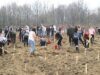 plantari Primariile - chemate sa fie partenere in cadrul actiunii nationale de impadurire