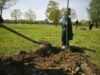 Parc pe jumătate de hectar în Murgeşti, judetul Buzau, cu fonduri de la Mediu