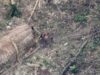 Autoritatile braziliene au descoperit in Amazon un nou trib care nu a avut niciodata contact cu lumea civilizata