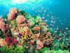 8 Iunie - Ziua Mondiala a Oceanelor