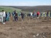 Start la depunerea proiectelor pentru împăduriri Start la depunerea proiectelor pentru împăduriri