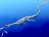 Scheletul unui thalattosaur a fost descoperit în Alaska în timpul refluxului. Cum arăta reptila marină preistorică