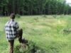defrisari Defrişări! „Crimă” în pădurile din Dragomireşti şi Măneşti