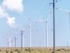 Energia eoliană ar putea asigura electriciate pentru un sfert din cele 8 milioane de gospodării din România