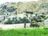 groapa ecologica WWF: Zeci de mii de locuri de munca in sectorul ecologic al economiei pana in 2020