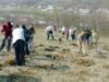 impadurire Program de împădurire destinat primăriilor din judeţ