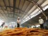 Cum a reuşit CHINA să "ascundă" încălzirea globală. PLUS: Care este legătura între ploile acide şi creşterea temperaturii globale