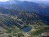Jumătate de hectar de pădure din Parcul Naţional Retezat, defrişată pentru afaceri cu cherestea Jumătate de hectar de pădure din Parcul Naţional Retezat, defrişată pentru afaceri cu cherestea
