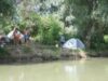 Pe Litcov, cel mai lung canal din paradisul păsărilor
