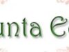 logo_nunta_eco Se lanseaza primul site dedicat conceptului de "nunta eco" din Romania