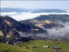 ONG-urile: "Basescu face presiuni inadmisibile in cazul Rosia Montana"