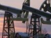 petrol OPEC: Cererea mondială de petrol va creşte moderat în 2012
