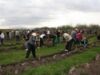 plantari Ocolul Silvic Sighetu Marmației a demarat acțiunile de reimpădurire a zonelor defrișate