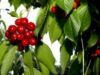 Produse eco Produse eco