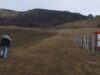 rezervatie Incendiul a ars aproape tot în Rezervaţia Naturală Zeckel