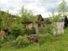 rosia Roşia Montană: cine a susţinut şi cine a combătut proiectul la Parlamentul European