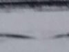 Un monstru asemănător celui din Loch Ness, descoperit în Alaska Un monstru asemănător celui din Loch Ness, descoperit în Alaska