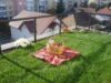 acoperisuri verzi Clubul BIOS a obţinut o nouă finanţare pentru acoperişurile verzi