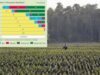 biocombustibili Greenpeace: "biocombustibilii nu sunt ecologici"