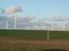 eoliana EWEA: Energia eoliană ar putea acoperi 15,7% din consumul de electricitate al UE în 2020